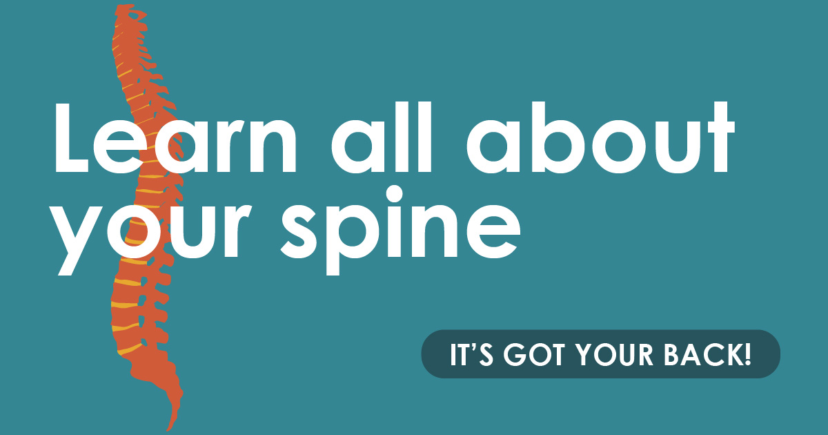 Learn all about your spine. It’s got your back!