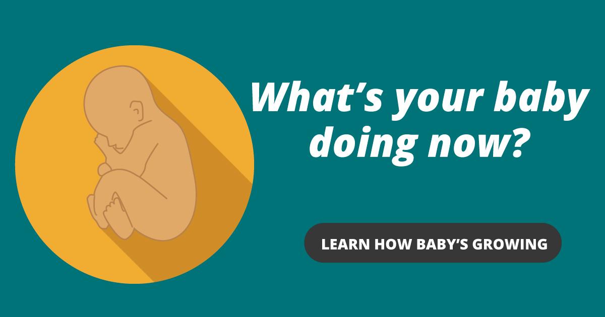 What's your baby doing now? Learn how it's growing.