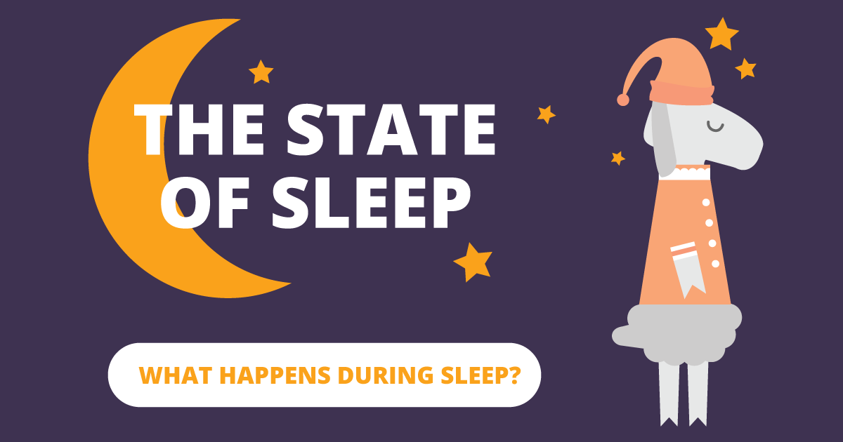 Open interactive - The state of sleep. What happens during sleep?