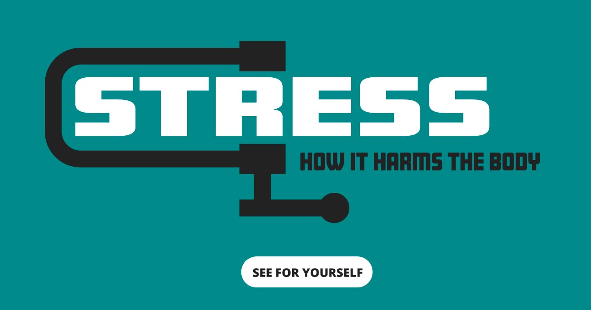 Stress. How it harms the body. See for yourself.